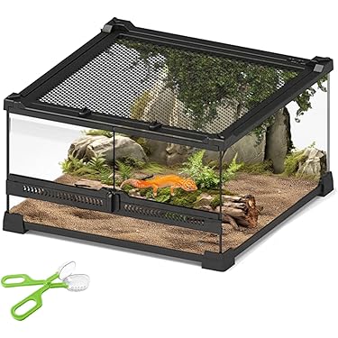 Amazon.co.jp 最新リリース: 爬虫類・両生類用飼育ケース